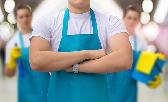 Cleaning professionals providing detailed service